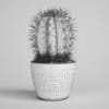 CGAxis Models Volume 1 Plants - Image 11