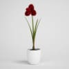 CGAxis Models Volume 1 Plants - Image 12