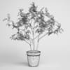 CGAxis Models Volume 1 Plants - Image 17