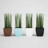 CGAxis Models Volume 1 Plants - Image 18