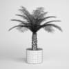 CGAxis Models Volume 1 Plants - Image 21