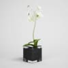 CGAxis Models Volume 1 Plants - Image 28