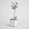 Potted Orchid Plant 14 - Image 2
