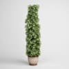 CGAxis Models Volume 1 Plants - Image 34
