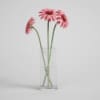 CGAxis Models Volume 1 Plants - Image 36