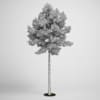 Scotch Pine Tree 19 - Image 2