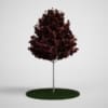 CGAxis Models Volume 5 Trees - Image 7