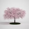 CGAxis Models Volume 5 Trees - Image 13