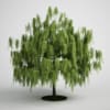 CGAxis Models Volume 5 Trees - Image 17