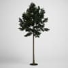 CGAxis Models Volume 5 Trees - Image 20