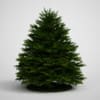 CGAxis Models Volume 5 Trees - Image 21