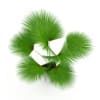Palm Tree - Image 3