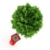 Potted Tree - Image 3