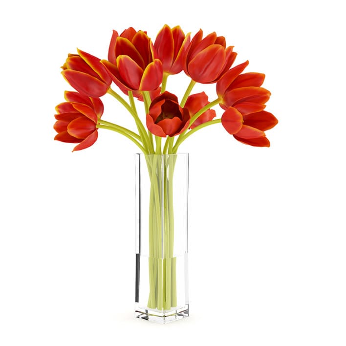 Orange Tulips in Vase