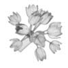 Orange Tulips in Vase - Image 2