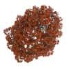 Acer Platanoides 8M (Autumn) - Image 3