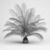The Oil Palm - Image 2