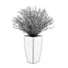 Potted plant - Image 2