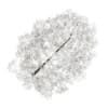 Acer Platanoides 8M (winter) - Image 3