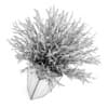 Potted plant - Image 4