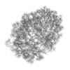 Acer Platanoides 8M (winter) - Image 4