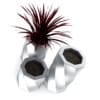 Red Palm - Image 3