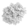 Common Lime 10M - Image 2