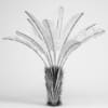 Wild Banana Tree - Image 2