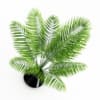 Potted Palm - Image 3