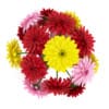 Three-Color Flowers in Black Vase - Image 3