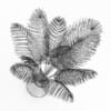 Potted Palm - Image 4
