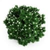 Oakleaf hydrangea - Image 3