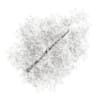 Common Lime 10M (Winter) - Image 3