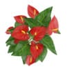 Red Flower in White Pot - Image 3