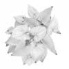 Red Flower in White Pot - Image 2