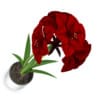 Red Flower in Chrome Pot - Image 3