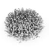 Broom - Image 4