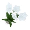 White Flower in Pot - Image 3