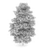 Birch-Tree 8m - Image 2