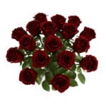 Free 3d Red Roses Cgaxis 3d Models Store