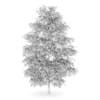 Birch-Tree 8m (Autumn) - Image 2