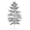 Birch-Tree 8m (Winter) - Image 2