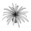 Fern in Wicker Basket - Image 4