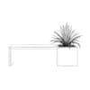 Palm in Bench-Pot - Image 2