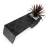 Palm in Bench-Pot - Image 3