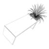 Palm in Bench-Pot - Image 4