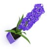 Purple Flower in Pot - Image 3