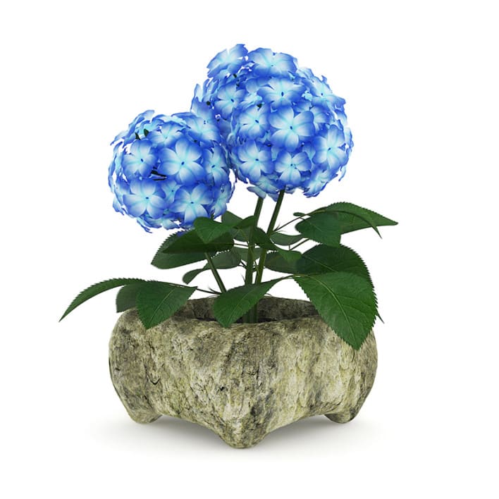 Blue Flower in Stone Pot