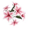 Pink Lilies in Vase - Image 3