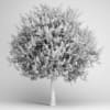 Orange Tree - Image 2